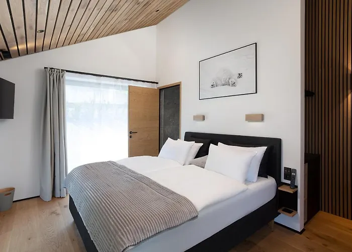 Bear & Bison View ツェル アム ゼー