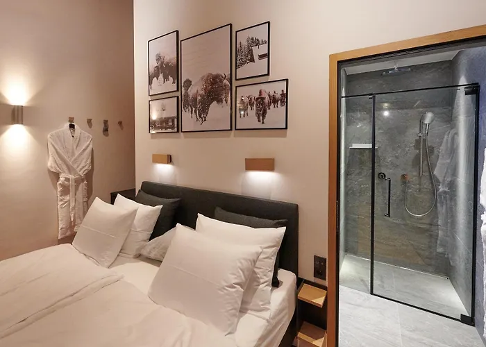 Bear & Bison View アパート *