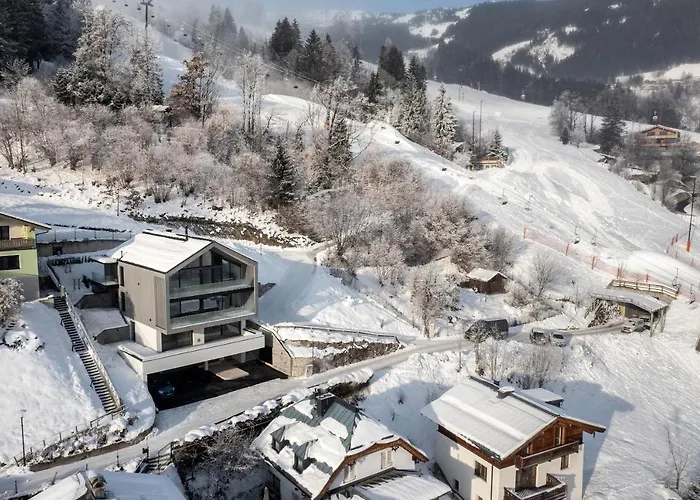 Bear & Bison View アパート *