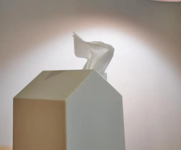 アパート Bear & Bison View