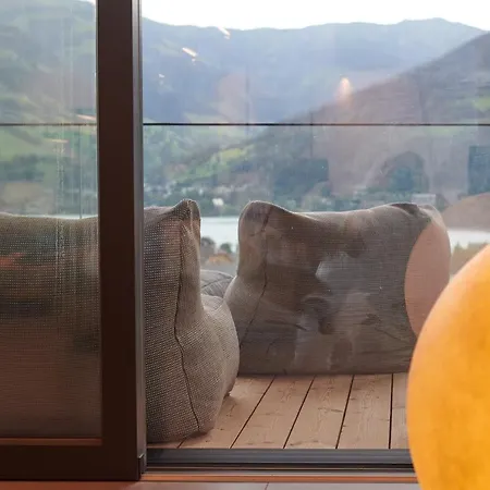 Bear & Bison View ツェル アム ゼー