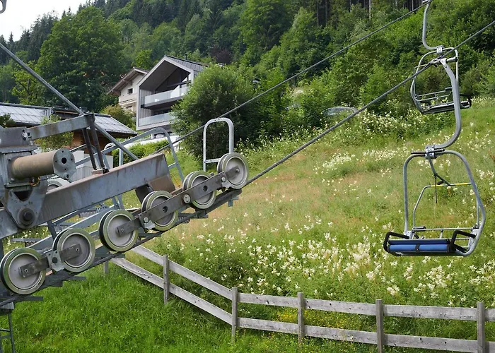 Bear & Bison View Apartmán